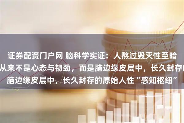 证券配资门户网 脑科学实证：人熬过毁灭性至暗人生绝境，最先苏醒的从来不是心态与韧劲，而是脑边缘皮层中，长久封存的原始人性“感知枢纽”